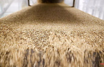 Saxony: Oats as a trend product: Mills expect higher prices