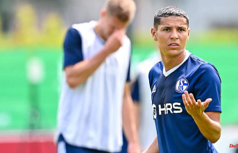 Good again, still too expensive: Brilliant gambler leads Schalke into millions