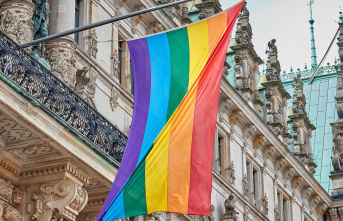 Rainbow flag flies at Hamburg City Hall