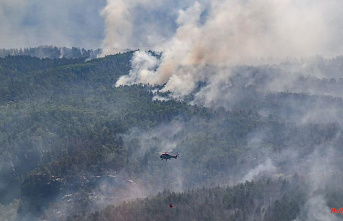 Four firefighters injured: forest fire in Saxon Switzerland continues to rage