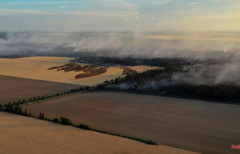 Looking for ways out of the fire trap: "Germany is now a forest fire country"