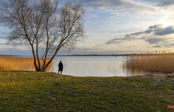 "In the forests of the beavers": About the healing power of the Uckermark