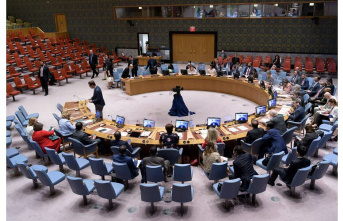 Diplomacy. The UN Security Council opens talks on humanitarian aid across-border to Syria