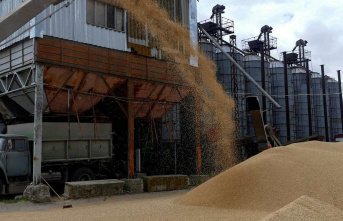 Turkey announces agreement to export grain from Ukraine