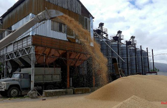Agreement before signing: Kyiv and Moscow clear the way for grain exports