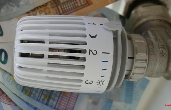 Left criticizes deductions: the average energy flat rate is 193 euros