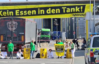 Saxony-Anhalt: Greenpeace protests in front of a biofuel plant: restrictions