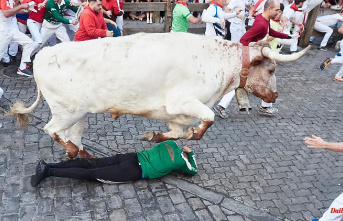 "Animal torture on live TV": Millions of people celebrate controversial bull hunting