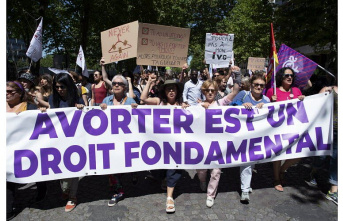 Company. Right to Abortion: 81% French want it in the constitution