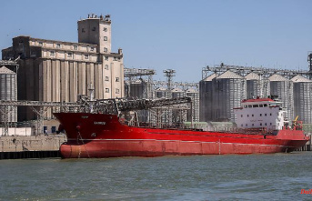 Despite high transport risks: Grain exports started in Ukrainian ports