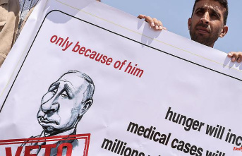 Veto of UN resolution: Russia blocks further UN aid for Syria