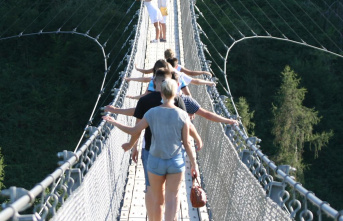 Thrills on Germany's most spectacular suspension bridges