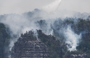 Forest expert fears rockfalls in Saxon Switzerland after fire