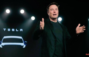 Fight against "underpopulation": Elon Musk reacts to twin rumors