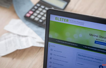 Rush because of property tax reform: Elster tax platform collapses
