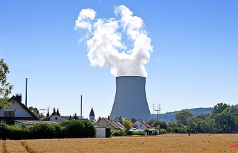 "Every megawatt is worth its weight in gold": Poland wants to lease German nuclear power plants