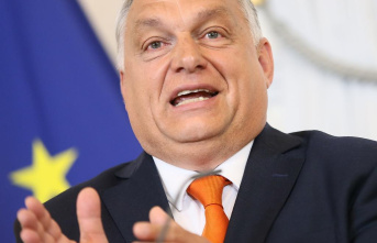 The consequences of Orbán's linguistic gaffe