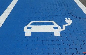 No more premium for hybrids: government significantly reduces subsidies for e-cars