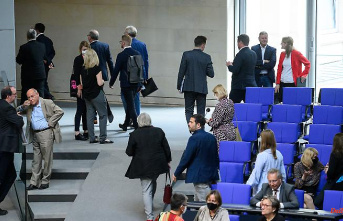 Bundestag session aborted: AfD forces nocturnal mutton jump