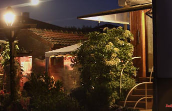 Enjoy summer nights: planting and lighting tips for the garden