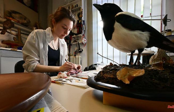 Thuringia: Association of German taxidermists looking for young people