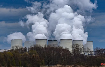 Plan B in the event of a lack of gas: Bundestag gives the green light for coal-fired power generation