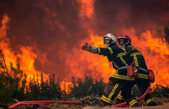 Forest fires are increasing: Southern Europe is groaning under extreme heat