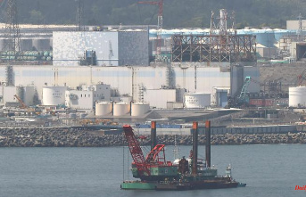 Environmental organizations appalled: Japan is allowed to discharge Fukushima sewage into the sea