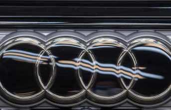 Regional court rejects lawsuit against genders at Audi
