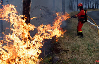 Consequences of the heat wave: forest fires in southern Europe continue to rage