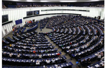 Company. MEPs would like to include abortion in the EU's fundamental rights