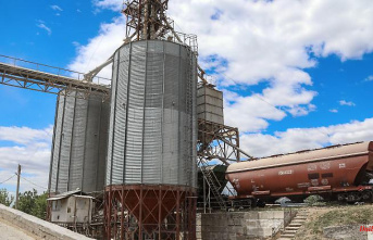 Negotiations in the "final phase": Ukraine sees grain crisis close to resolution