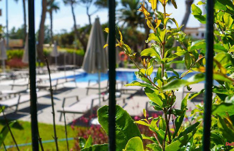 Dozens of vacationers injured: Children suffer chlorine poisoning in the hotel pool in Mallorca