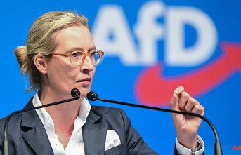 Dual leadership after election chaos: Südwest-AfD is trying to succeed Weidel