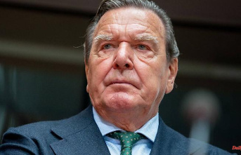 It's supposed to be about gas supplies: Schröder's Moscow trip not a "vacation" after all?