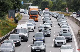 Source of money for a 9-euro ticket: environmental groups are shaking up company car rules