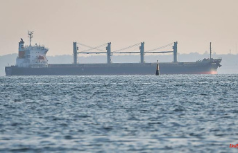 Ships with tons of cargo: Ukraine ships grain via the Danube