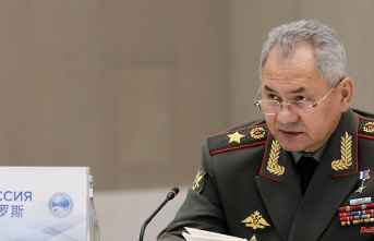 "All goals will be achieved": Shoigu justifies standstill of Kremlin troops