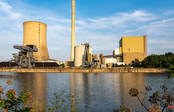 Greenpeace agrees: Heyden coal-fired power station back online