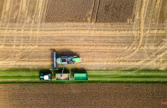 Hesse: Above-average grain harvest this year