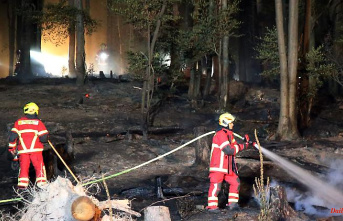 Bavaria: Around one hectare of forest in Lower Franconia on fire