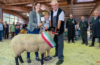 North Rhine-Westphalia: Award and herding dog competition at the NRW sheep days