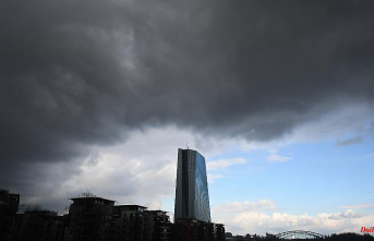 Fight against inflation: "It's best if the ECB keeps its feet still"