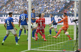 Union suddenly leaders: Schalke goes down badly, BVB celebrates ex-Cologne