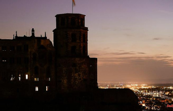 Baden-Württemberg: Castles in Heidelberg and Tettnang without lighting