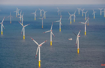 Response to gas shock: Baltic Sea countries want to massively expand wind energy