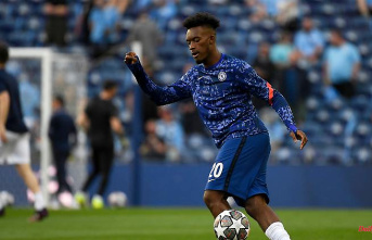 Hudson-Odoi should come: Bayer will probably get the eternal Bayern dream player