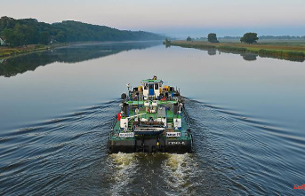 Despite the mysterious death of fish: Poland wants to further expand the Oder for shipping