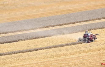 "Exception only applies to 2023": Özdemir plans to expand grain cultivation