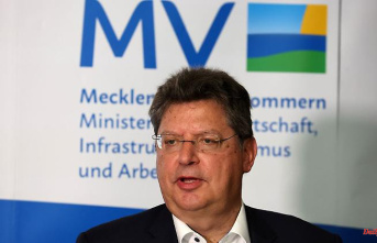 Mecklenburg-Western Pomerania: Meyer: 9-euro ticket has relieved citizens